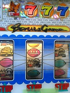 ﾜｲﾙﾄﾞｷｬｯﾂ RB.jpg