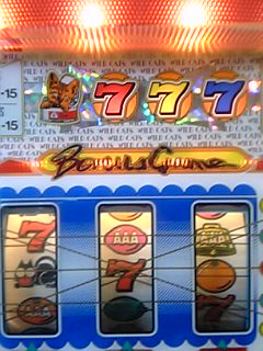 ﾜｲﾙﾄﾞｷｬｯﾂ BB.jpg