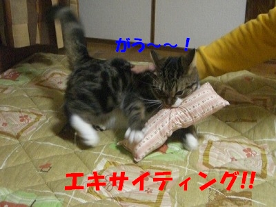 その２.jpg