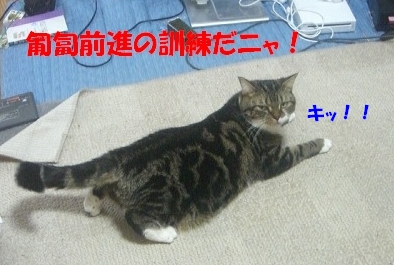 ルナ２完成.jpg