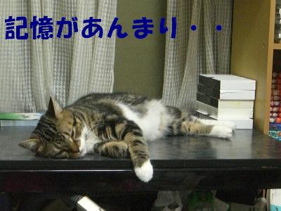 s-CIMG3320記憶なし.JPG