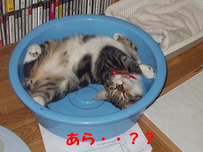 s-P１０１０００９その５.JPG