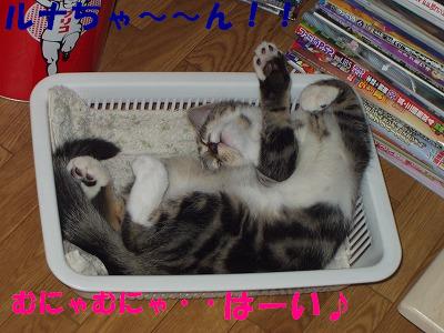 s-ハイ！はーい.JPG