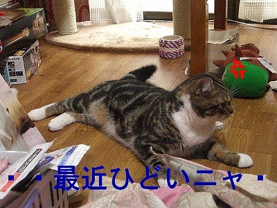 s-ひどい・・.jpg