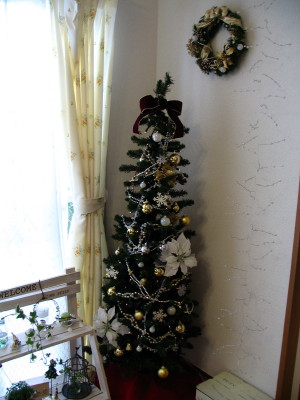 IMG_1713_1.jpg