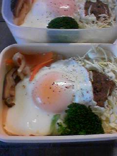 20090126ロコモコ丼弁当.jpg