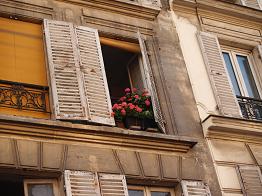 flowar by the window