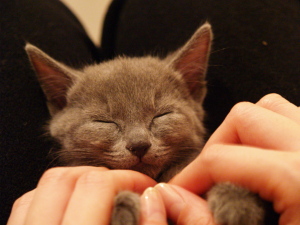 sleep