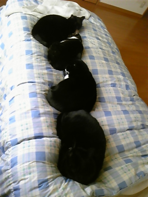 2011-12-06 14:56:37