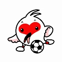 新潟国体サッカー