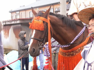 お馬ﾀﾝ