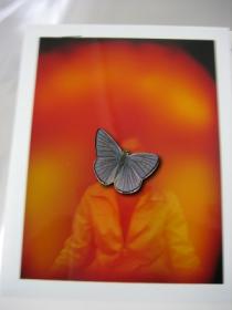 オーラフォト20070331