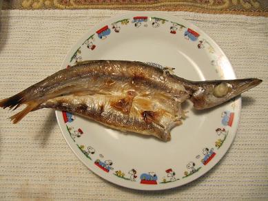 100606かますの開き