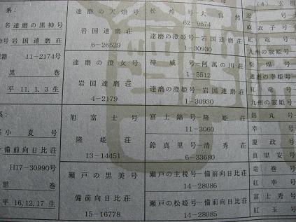 楓血統書