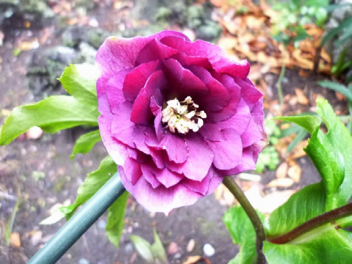 20110218-6.jpg
