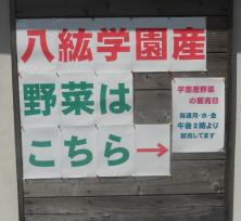 八紘学園産野菜