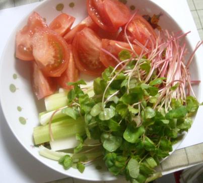 蕎麦の芽サラダ