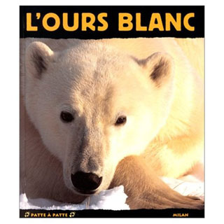 l'ours blanc