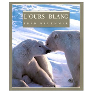 L'ours blanc