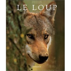 le loup