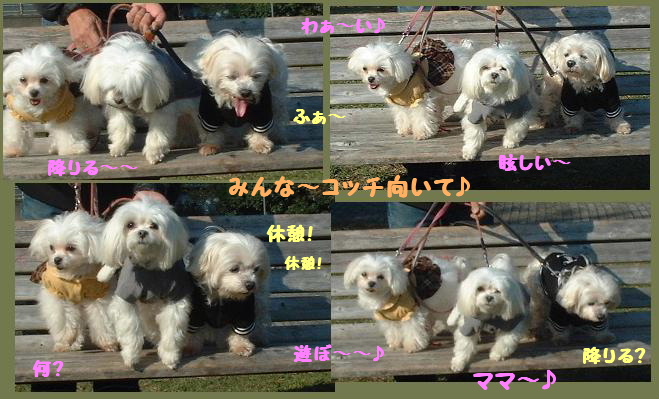 ☆根岸森林公園にて【8】☆