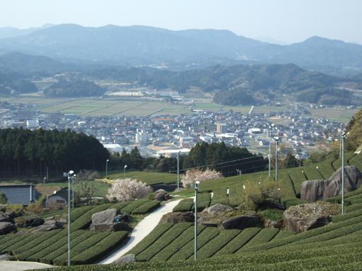 DSCF5247.JPG
