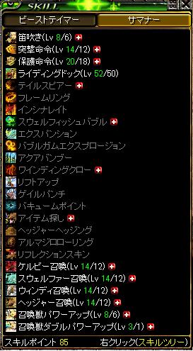 アステカ350サマナスキル