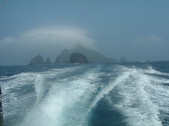 鵜渡根島Now!! ISO FISHING GUIDE BLOG 楽天ブログ