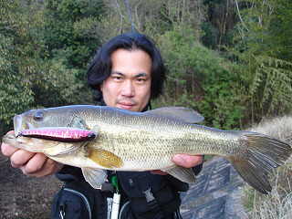 ガリガリ君ですが43cm