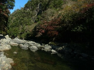 紅葉　優待 004.jpg