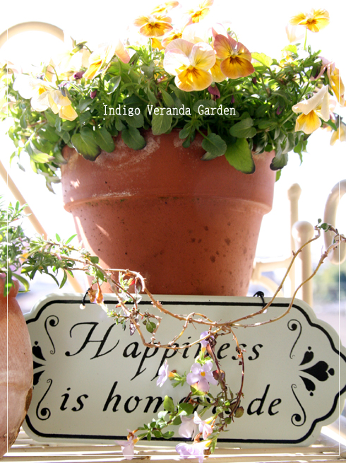 いただいたプレート