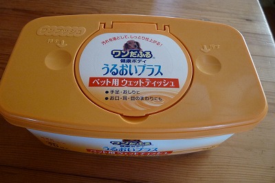 P1150326.jpg