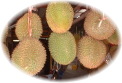 ドリアン２.JPG