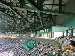 甲子園６.JPG