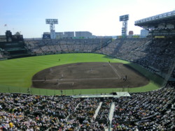 甲子園７.JPG