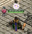 Arena.JPG