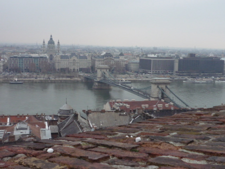 P1010312(1).JPG