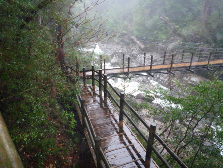 P1000823.JPG