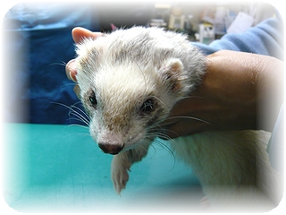 ホットしてます。。。