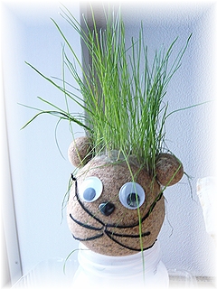 ビジュアル系バンド??