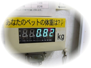 桃(ぴーち)様の体重です♪