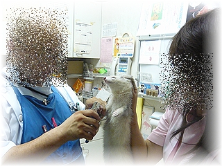 爪のお手入れ♪