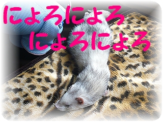 栗(まろん)さん♪