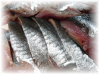 サンマのお刺身♪