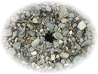 穴あいてるぅぅぅ???