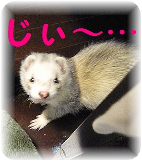 あなたもですか!!