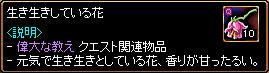 キャンピングマスタLv106.JPG