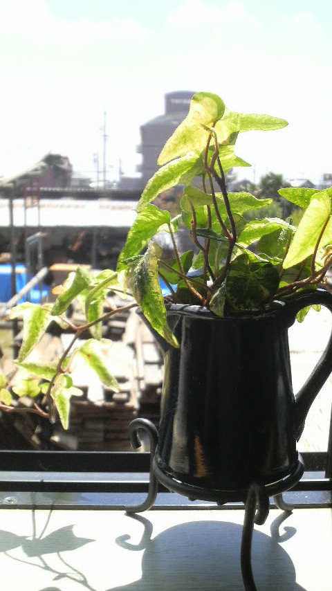 2011042910560000.JPG