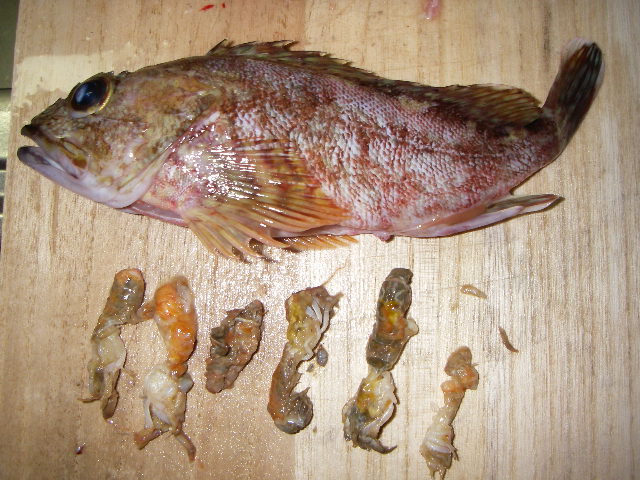 IMGP0773.JPG