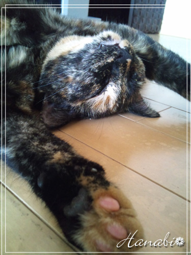 20100729あーたんぐー